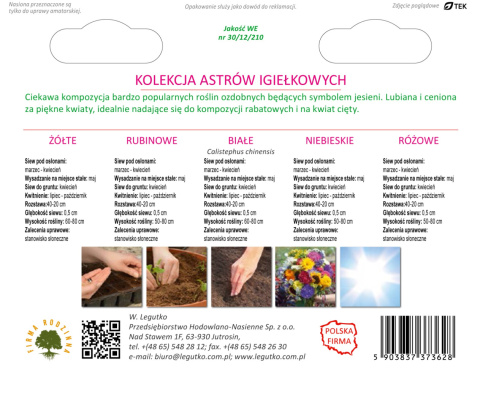 Kolekcja Astrów igiełkowych