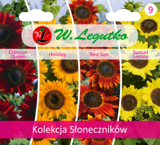 Kolekcja Słoneczników