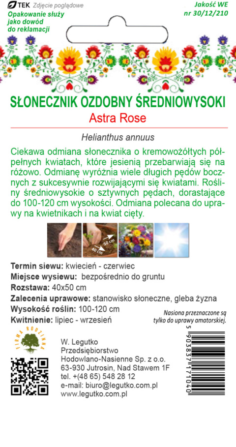 Kwiaty Polskie - Słonecznik ozdobny Astra Rose - białe 1.00