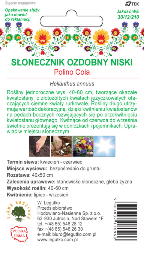 Kwiaty Polskie - Słonecznik ozdobny doniczkowy Polino - Cola 1.00