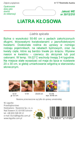 Liatra kłosowa - różowofioletowa (nasiona otarte) 0.20g