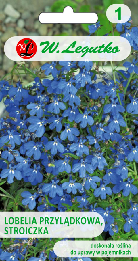 Lobelia przylądkowa, Stroiczka - niebieska 0.20g