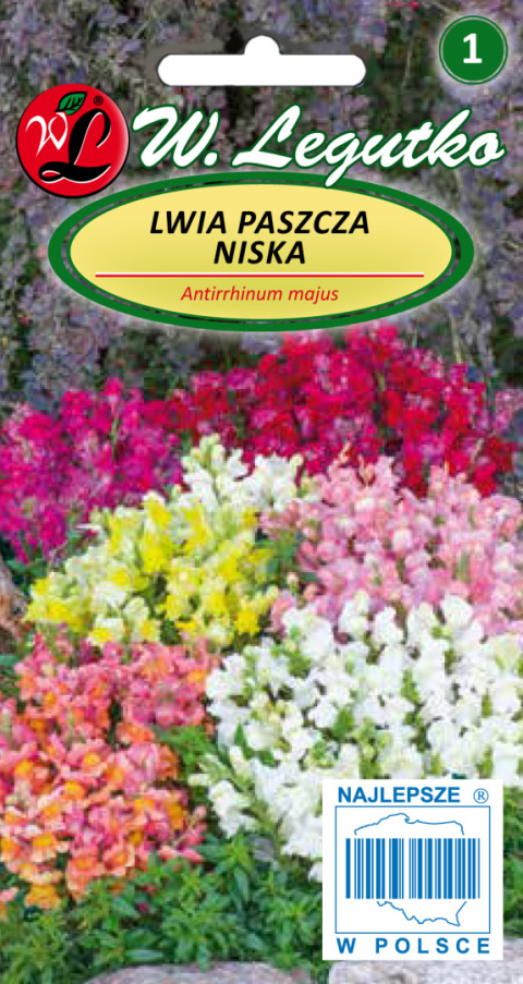 Lwia paszcza niska mieszanka 0.50G