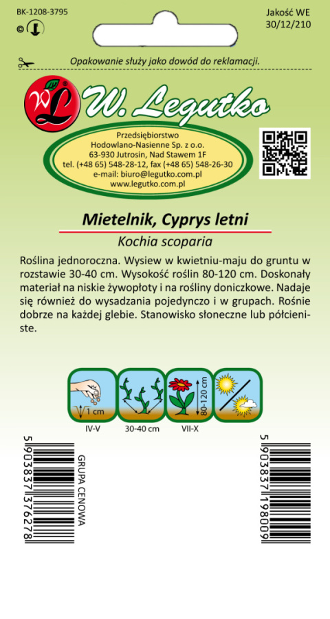 Mietelnik, Cyprys letni zielony 1.00g