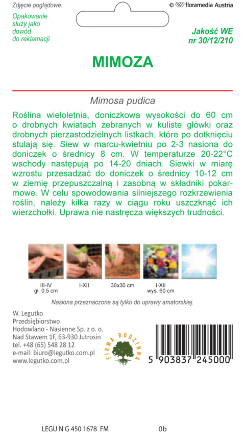 Mimoza różowa 0.20g