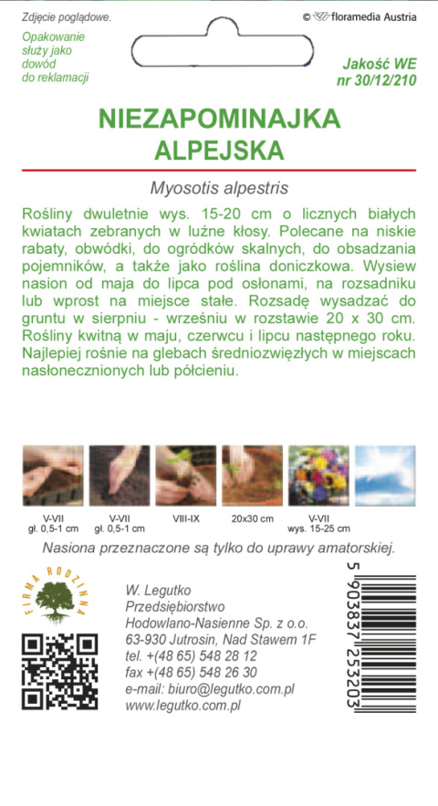 Niezapominajka alpejska - biała 0.30g