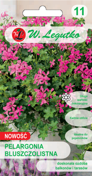 Pelargonia bluszczolistna Fuchsia F1 5nas.