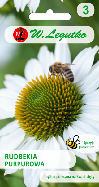 Rudbekia purpurowa, Jeżówka - biała 0.50g