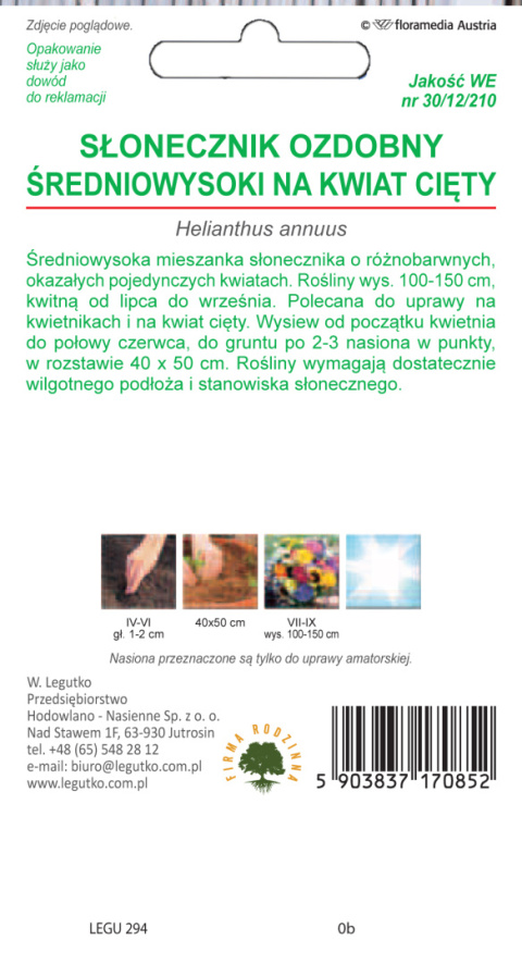 Słonecznik średnio-wysoki pojedynczy na kwiat cięty mieszanka 3.00G