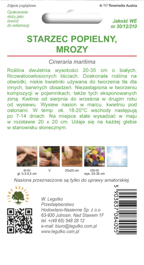 Starzec, Mrozy - liście sinozielone, gęsto owłosione 0.20g