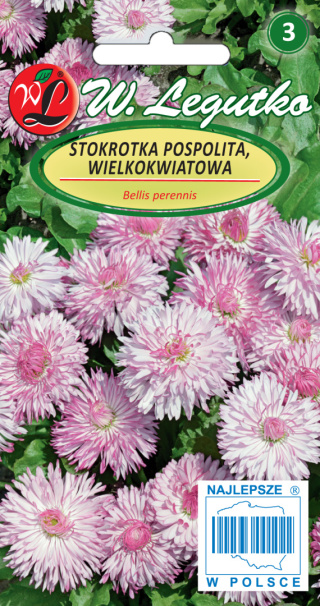 Stokrotka pospolita wielkokwiatowa Maria - różowa 0.10g