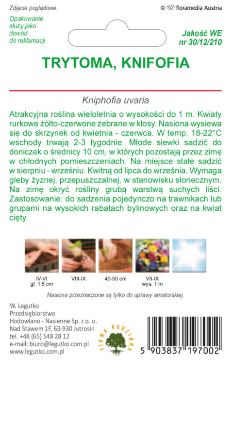 Trytoma, Knifofia - czerwono-żółta 0.20g