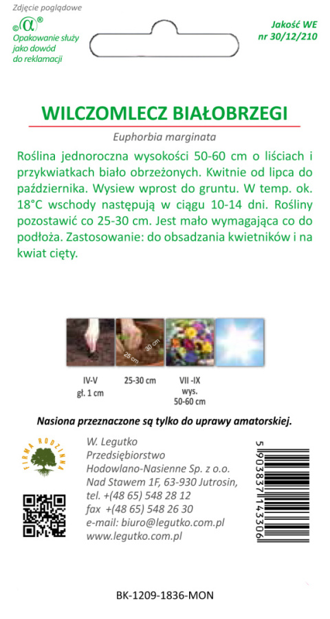 Wilczomlecz białobrzegi - białozielony 0.50g