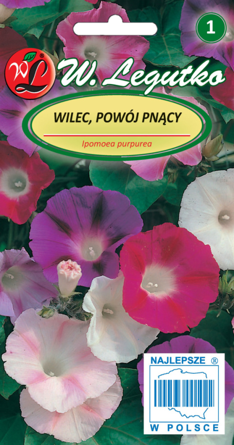 Wilec, Powój pnący mieszanka 5.00G