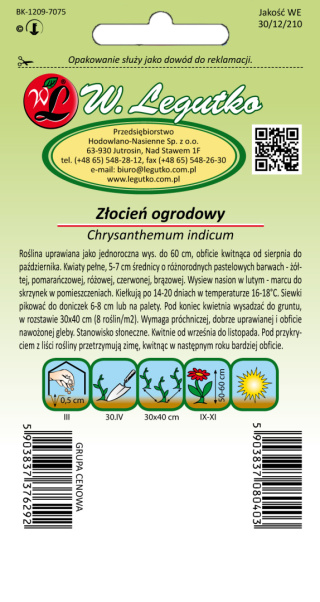 Złocień ogrodowy mieszanka pełnokwiatowa 0.05g