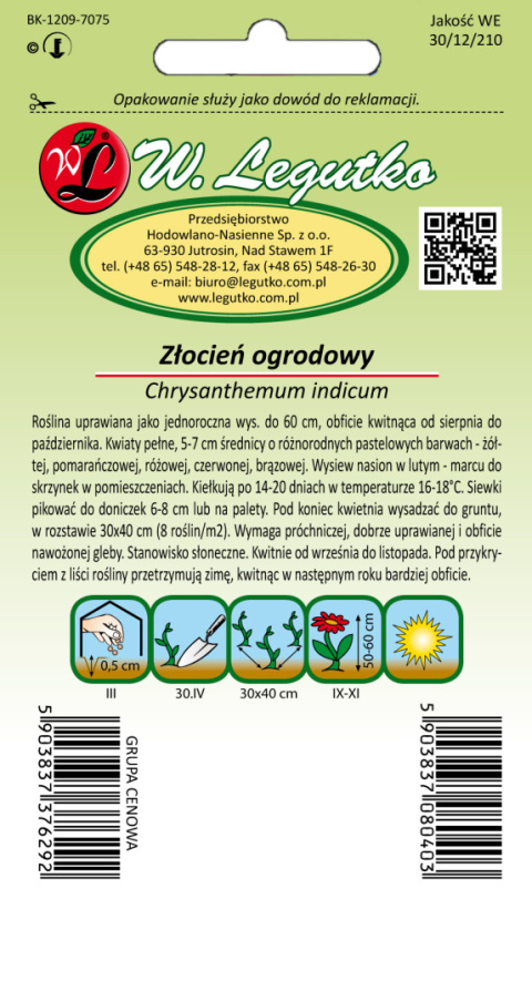 Złocień ogrodowy mieszanka pełnokwiatowa 0.05g