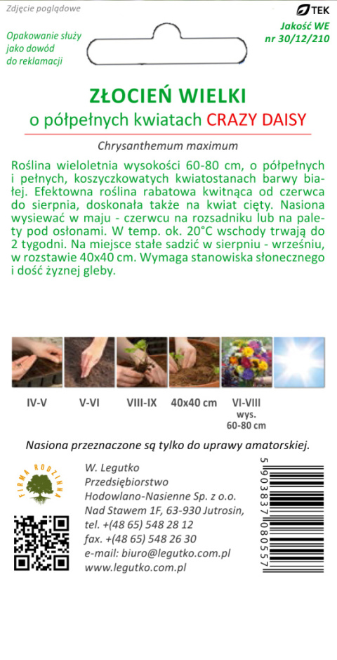 Złocień właściwy o kwiatach półpełnych Crazy Daisy - biały 0.20g