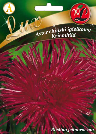 Aster chiński igiełkowy Kriemhild - rubinowy 0.50