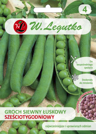 Groch siewny łuskowy Sześciotygodniowy - nasiona gładkie, wczesna (nasiona zaprawiane) 40.00G