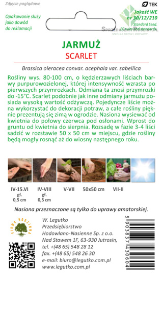 Jarmuż Scarlet - śr.wysoki, kędzierzawy, czerwonolistny 1.00g