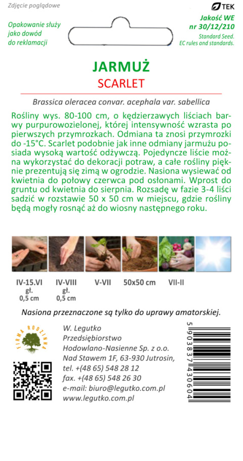 Jarmuż Scarlet - śr.wysoki, kędzierzawy, czerwonolistny 1.00g