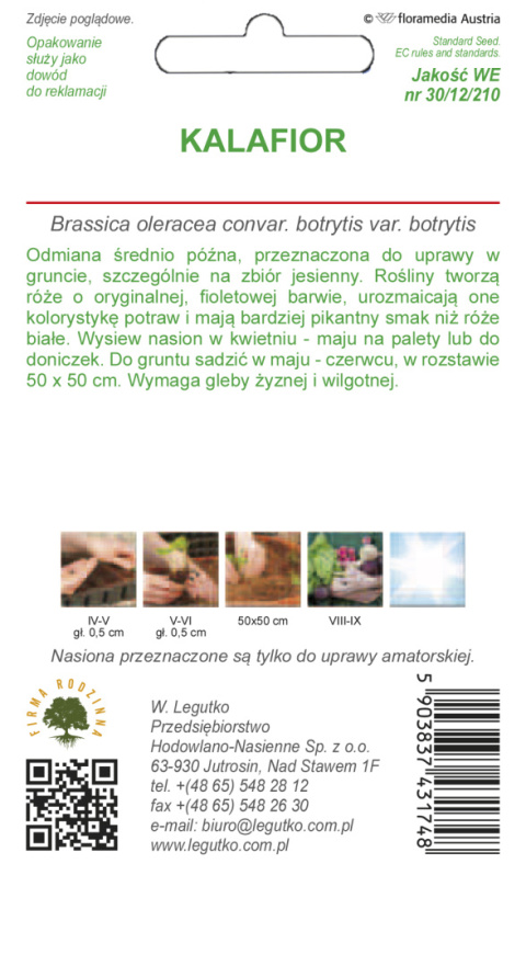 Kalafior Di Sicilia violetto - późna - róża fioletowa 1.00g