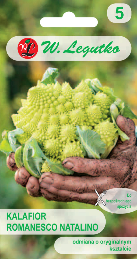 Kalafior Romanesco natalino - późna - róża zielona, wieżyczkowa 1.00g