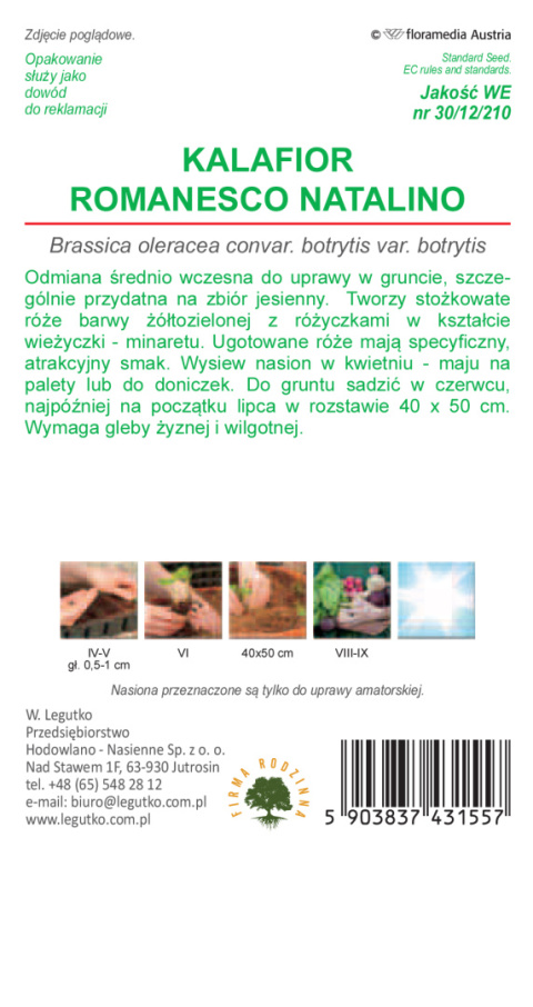 Kalafior Romanesco natalino - późna - róża zielona, wieżyczkowa 1.00g