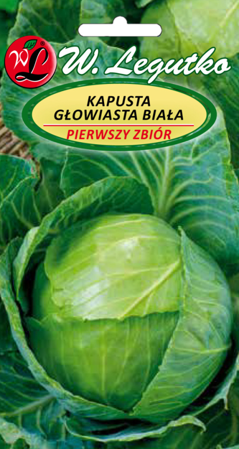 Kapusta głowiasta biała Pierwszy Zbiór - wczesna 2.00G