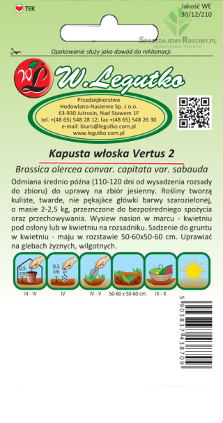 Kapusta włoska Vertus 2 - śr. późna 2.00G