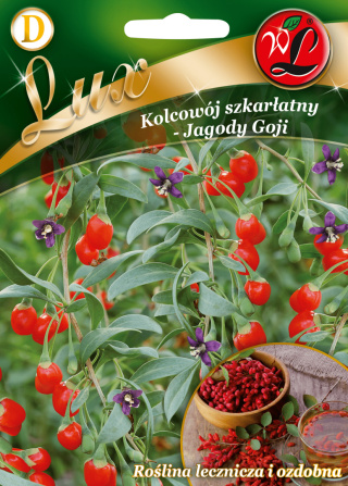 Kolcowój szkarłatny - Jagody goji 0.10