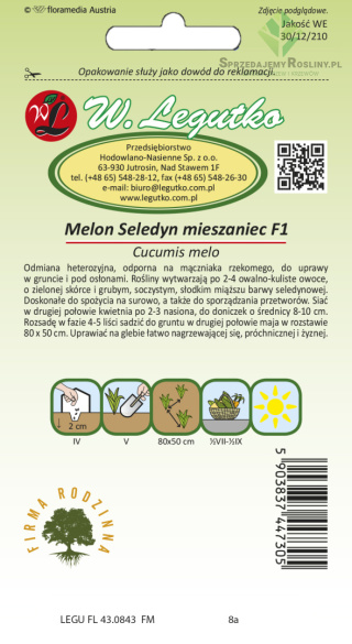 Melon Seledyn F1 - miąższ seledynowy 1.00g