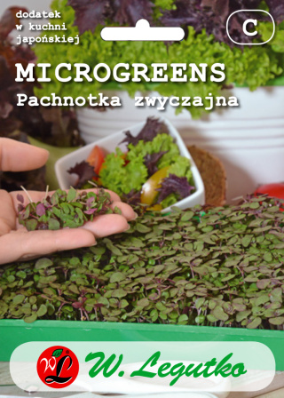 Microgreens - Pachnotka zwyczajna fioletowa 3.00 g