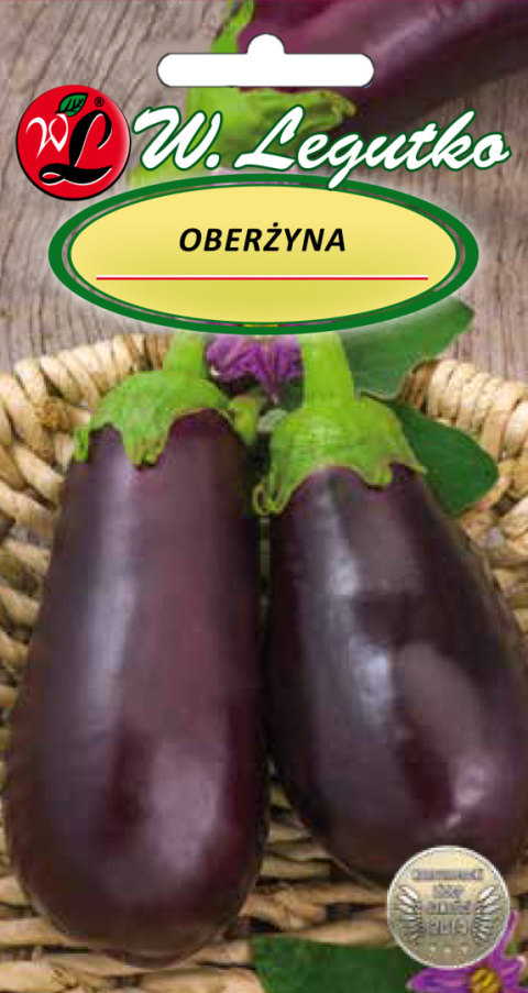 Oberżyna Black Beauty - fioletowa 1.00G