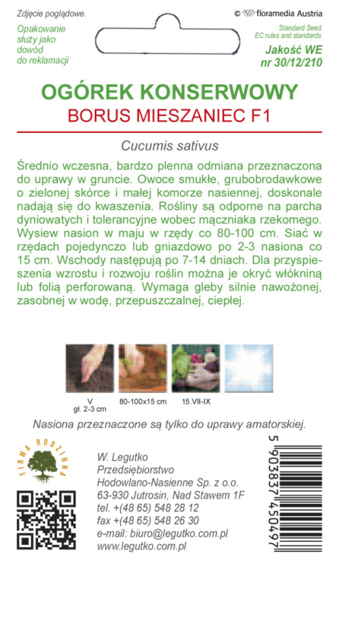 Ogórek gruntowy do kwaszenia Borus F1 4.00G