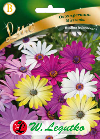 Osteospermum mieszanka 1.00