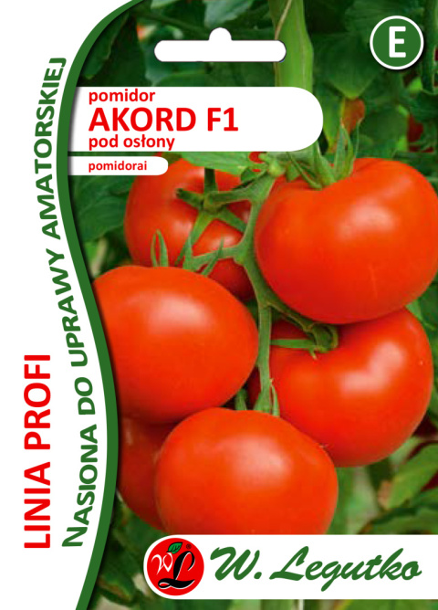 Pomidor Akord F1 pod osłony Akord F1 - czerwone 30 nasion