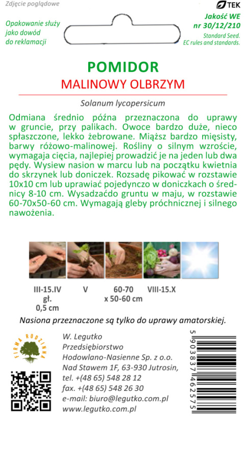 Pomidor gruntowy wysoki Malinowy Olbrzym - owoce bardzo duże, śr. późna 1.00g