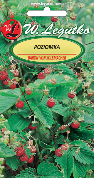 Poziomka Baron von Solemacher - owoce czerwone 0.20G