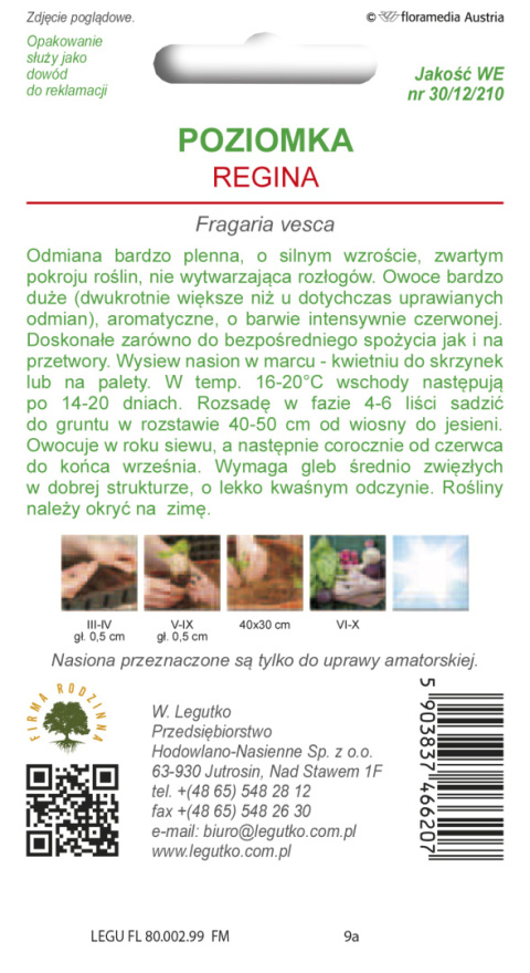 Poziomka Regina - owoce czerwone, duże 0.10G