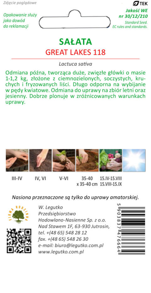 Sałata głowiasta krucha lodowa Great Lakes 118 - ciemnozielona, śr. Późna 1.00g