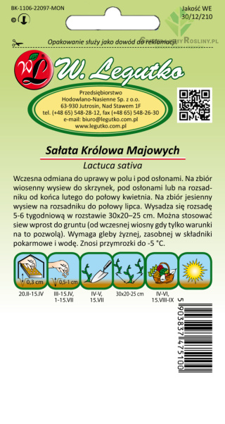 Sałata głowiasta masłowa May King (Królowa Majowych) - żółtawozielona, wczesna 1.00G