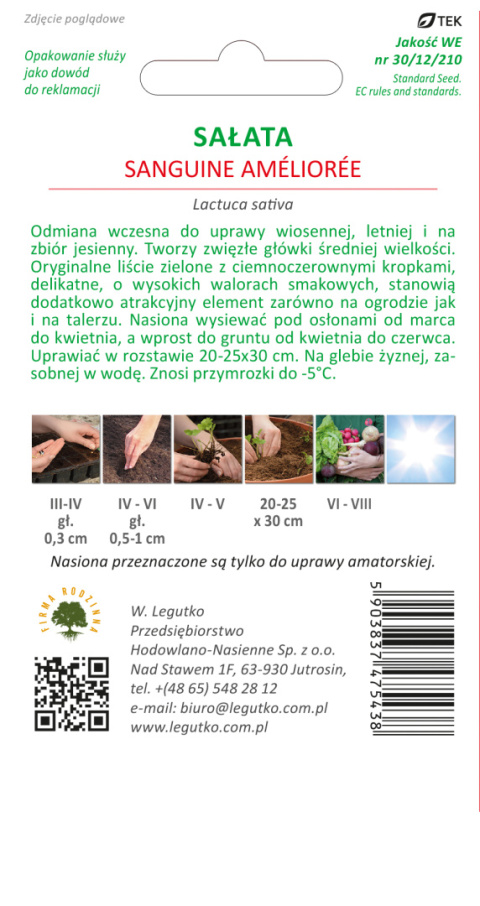 Sałata głowiasta masłowa Sanguine Amelioree - wczesna, zielona z ciemnoczerwonymi kropkami 1.00G