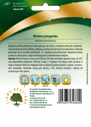 Werbena patagońska - liliowa 0.30