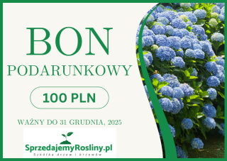 Bon podarunkowy 100 PLN SprzedajemyRosliny.pl