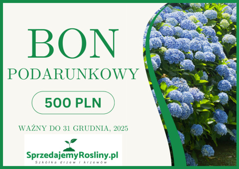 Bon podarunkowy 500 PLN SprzedajemyRosliny.pl