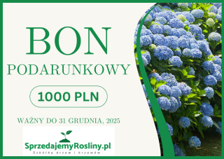 Bon podarunkowy 1000 PLN SprzedajemyRosliny.pl