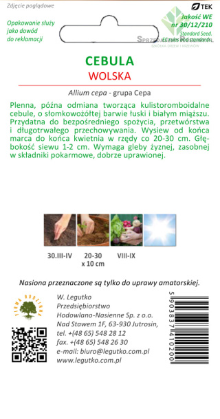 Cebula Wolska - łuska słomkowożółta, późna 5.00g