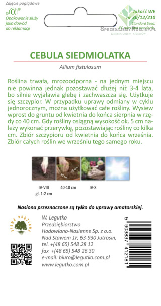 Cebula siedmiolatka Winter Nest - wielopędowa 2.00G