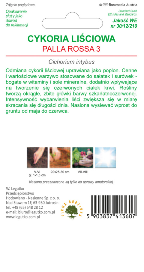 Cykoria sałatowa głowiasta Palla rossa 3 - czerwone liście zebrane z główki 5.00g